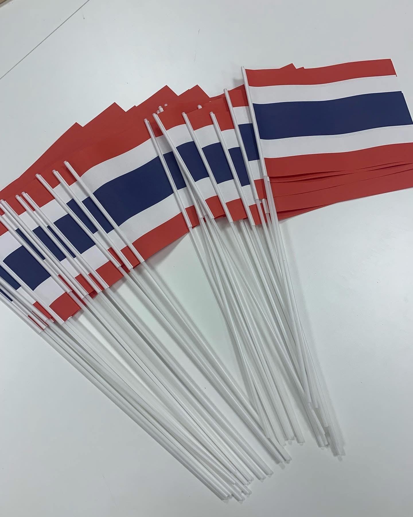 Custom Hand Waving Flag Plastic Stick, Wooden Stick Dye Sublimation Printing from Polyester Use for Event promotion