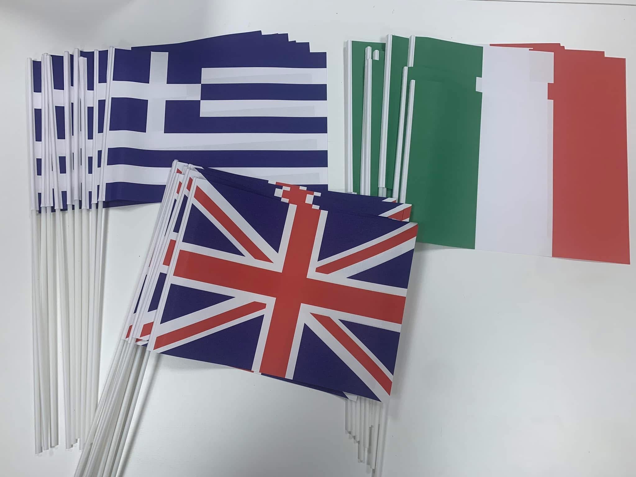 Custom Hand Waving Flag Polyester Dye Sublimation Printing with Plastic or Wooden Stick for Event Promotion