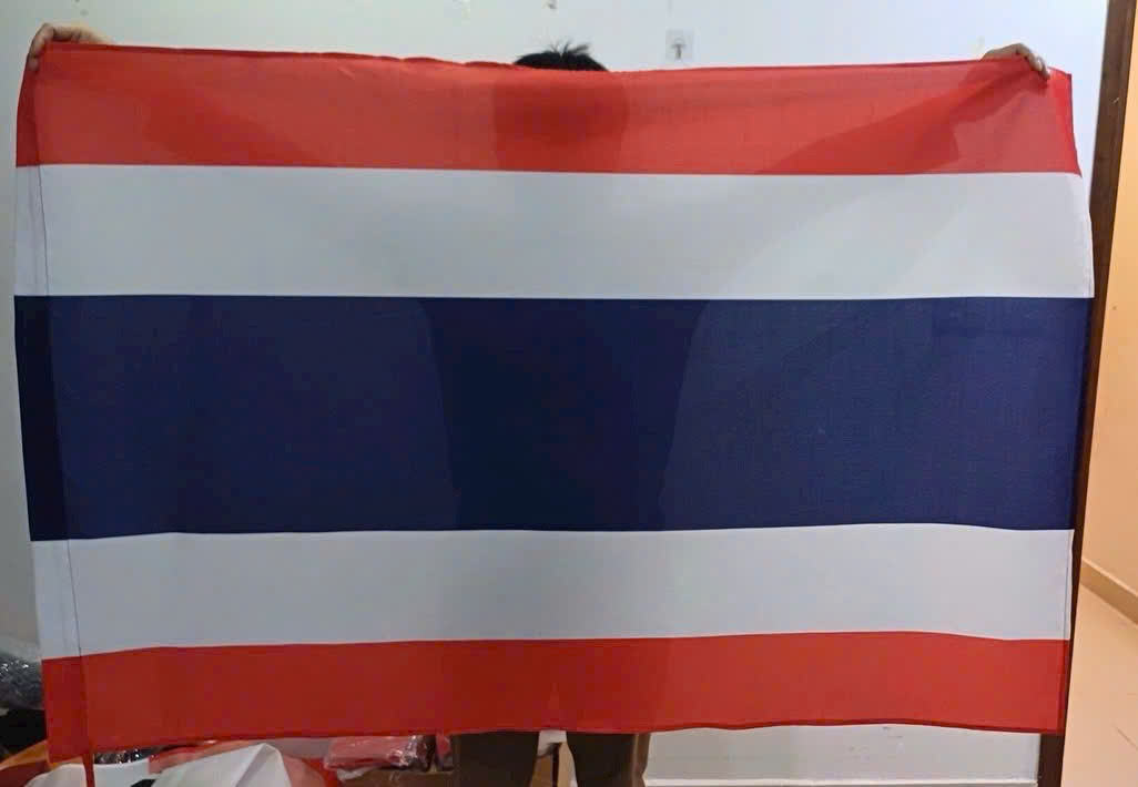 Double Layer Blackout National Flag Vietnam Origin OEM ODM National Style Embroidery Full Color Printing