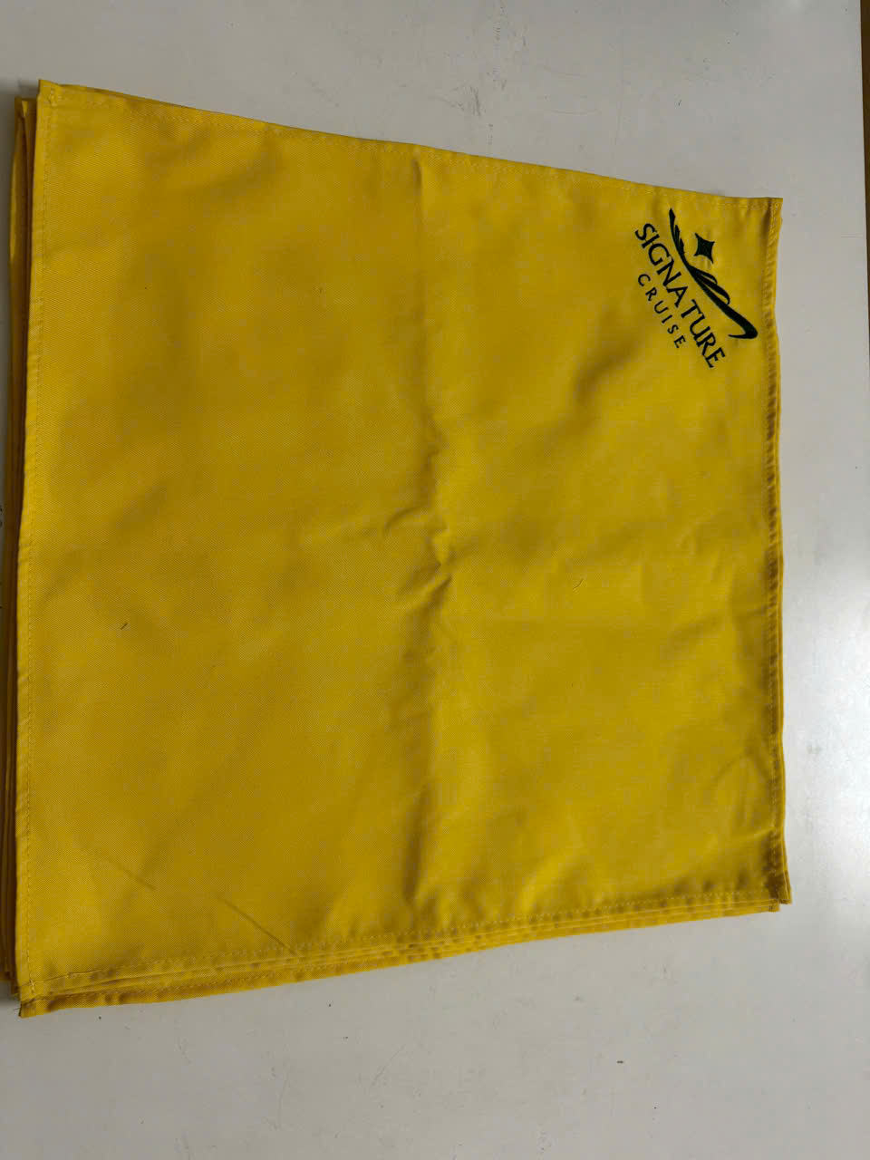 Custom Logo Napkin Digital Printing for All-season 20–60gsm Custom Size Available Promotion Occasion OEM ODM